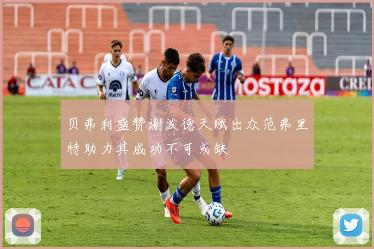 贝弗利盛赞谢泼德天赋出众范弗里特助力其成功不可或缺